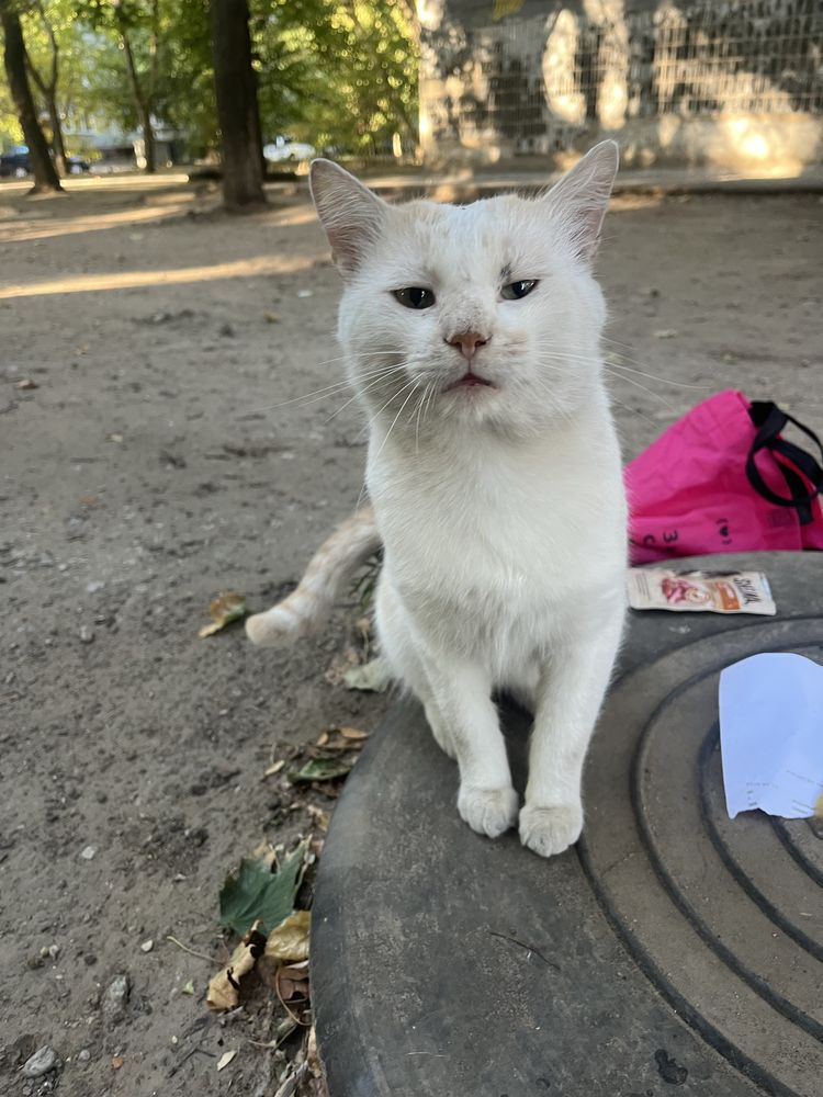 Каспер, 1 рік