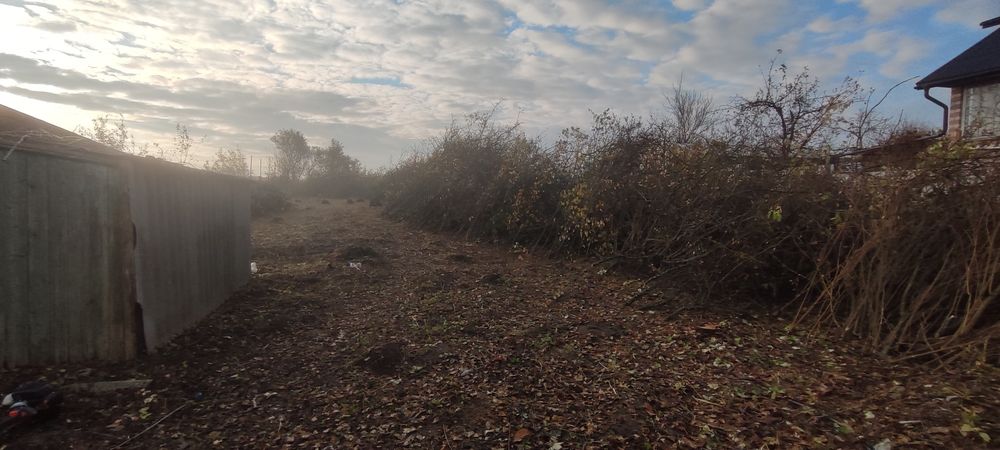 Оренда гілкоруба, подрібнення гілок, послуги гілкоруба,.