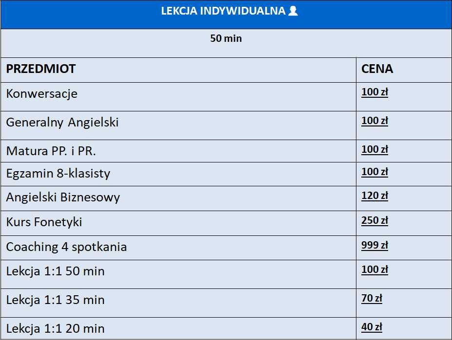 LEKCJA ANGIELSKIEGO 1:1 - Bez Umowy Online od 40zł