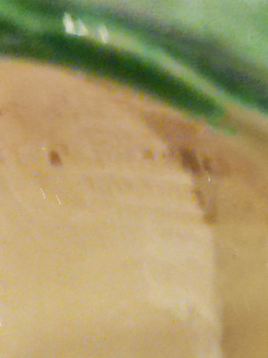 Paliteiro antigo faiança Caldas da Rainha ( Portes grátis)