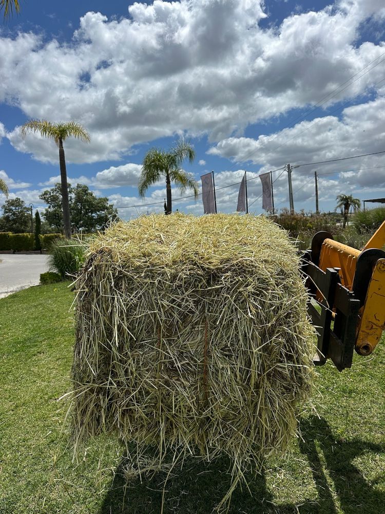 Feno de Azevém de 300 kg de Qualidade Superior
