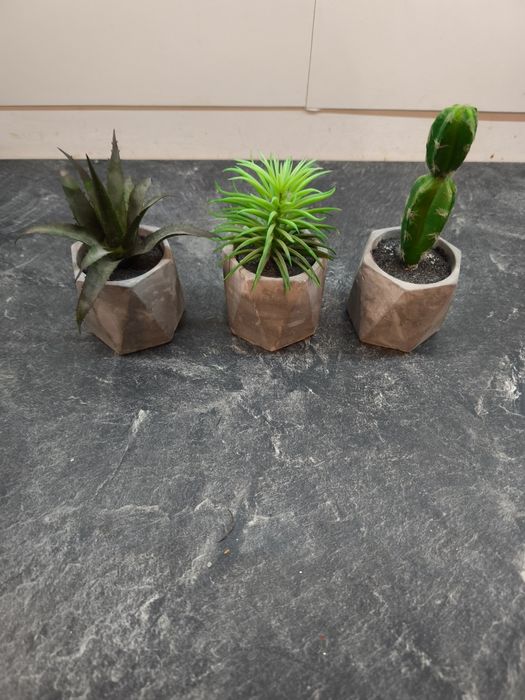 Kaktusy w doniczkach sztuczne