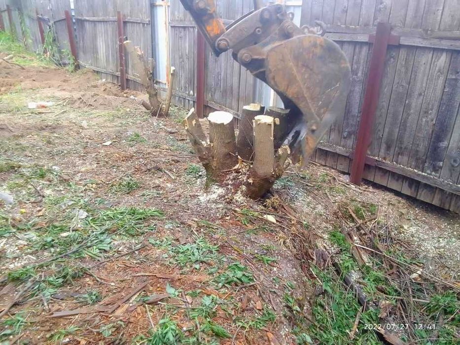 Зрізання дерев, Розчистка ділянок, корчування пеньків уборка участка