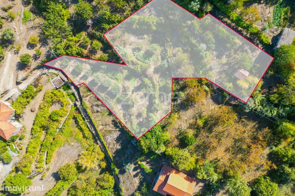 Terreno Rústico com Vistas Deslumbrantes para o Rio Douro