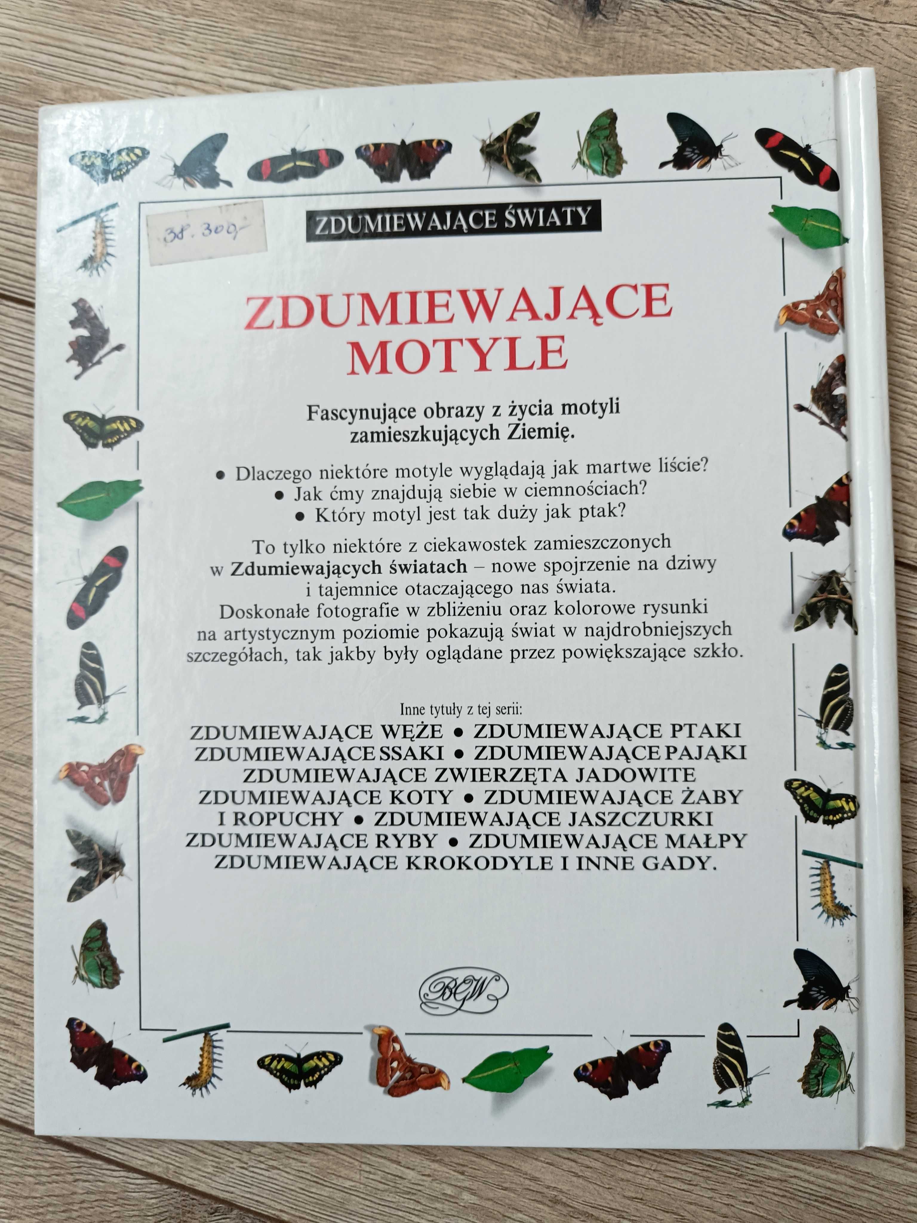 "Zdumiewajace pająki,ssaki,motyle" Seria Alexandra Parsons,Jerry Young