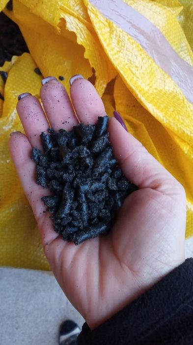 Makuch z czarnuszki / czarnuszka makuch