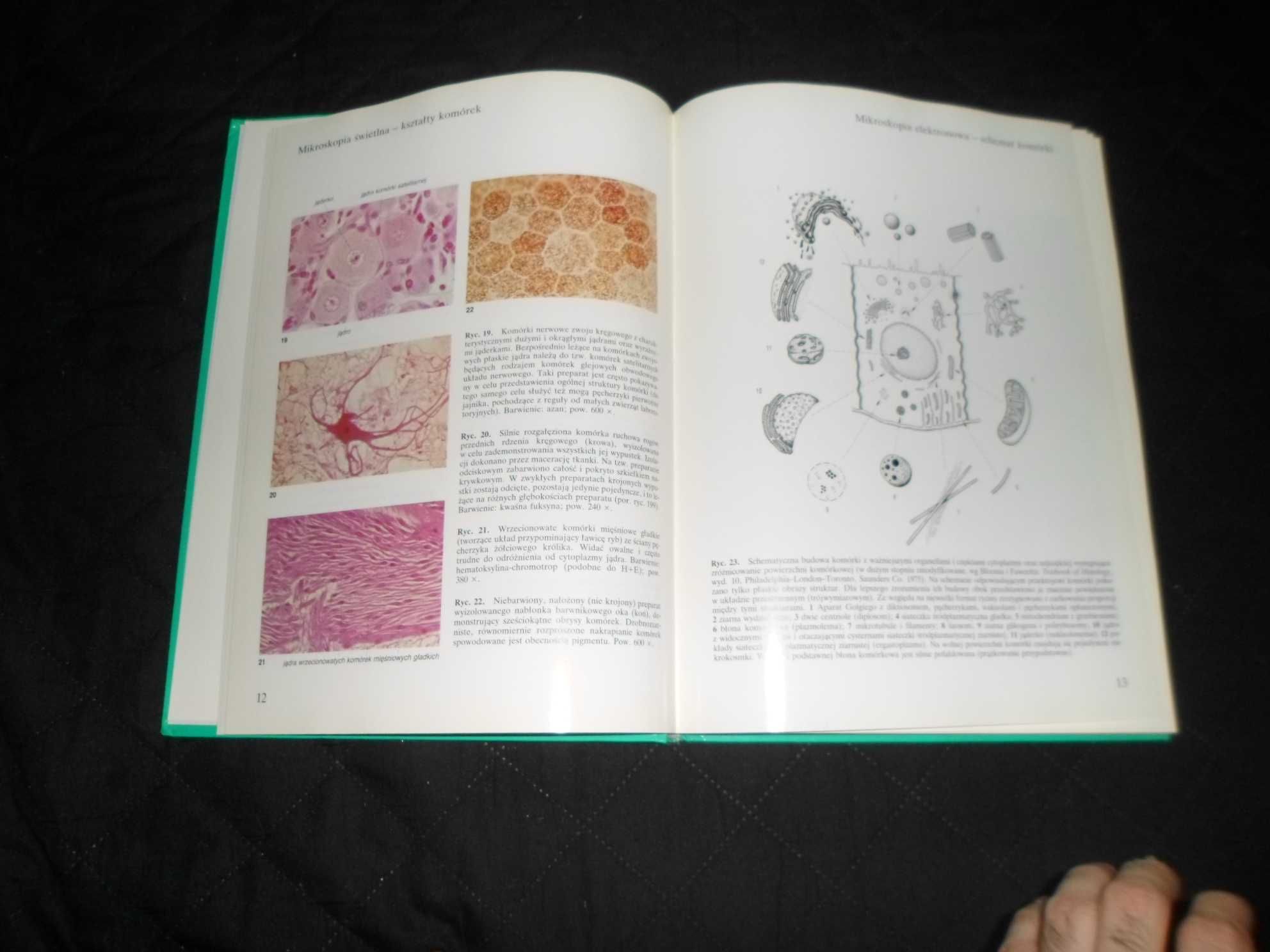 Sobotta/Hammersen - Histologia Atlas cytologii i histologii Frithjofa