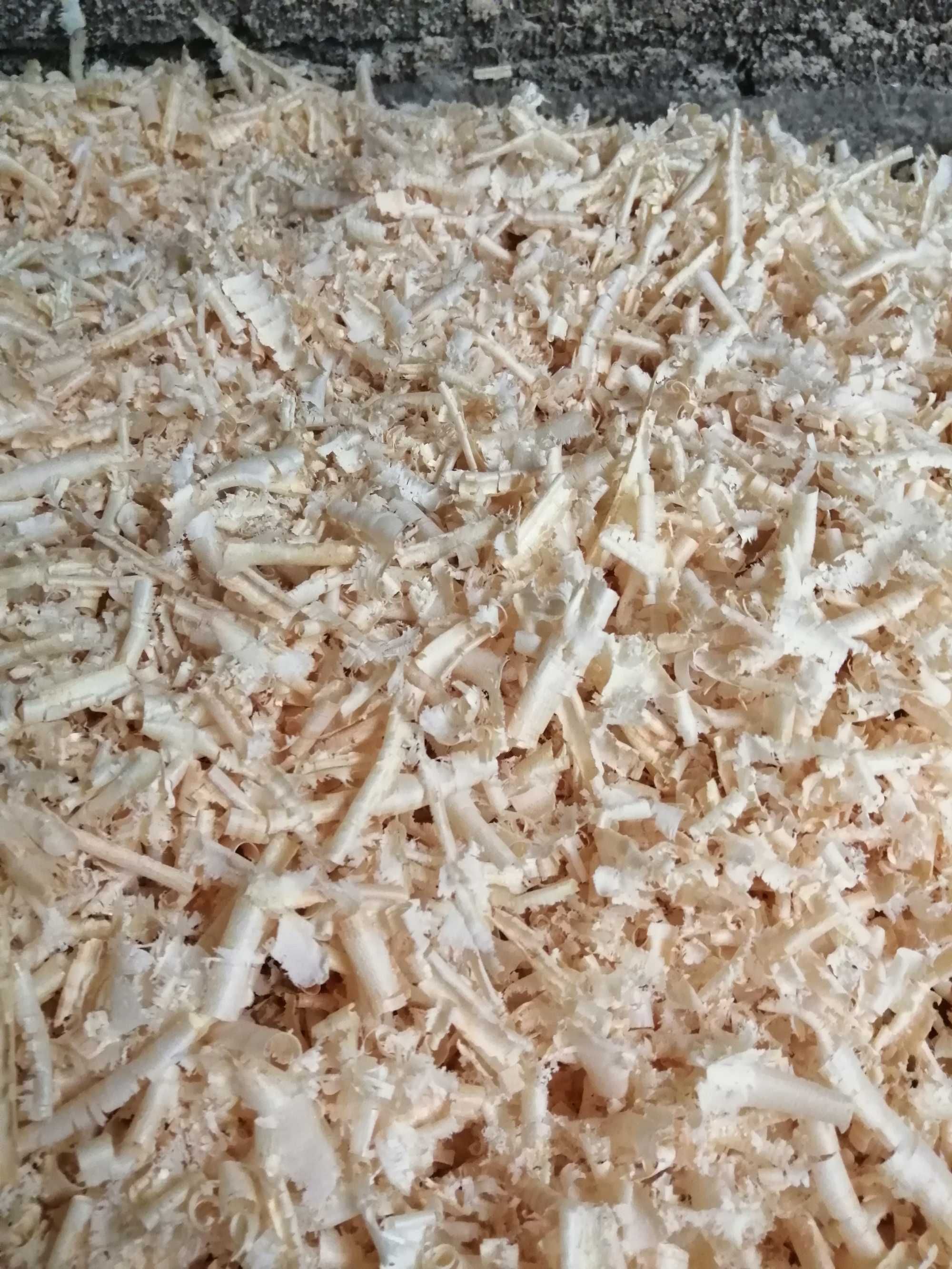 Aparas de pinho 20kg