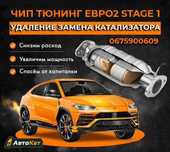 Удаление Катализатора под ключ! Евро2 Чип Тюнинг Стейдж1 ЕГР ЭБУ Check