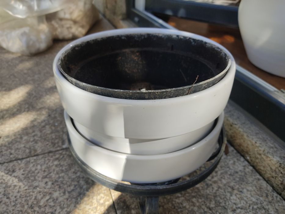 Vaso para bonzai