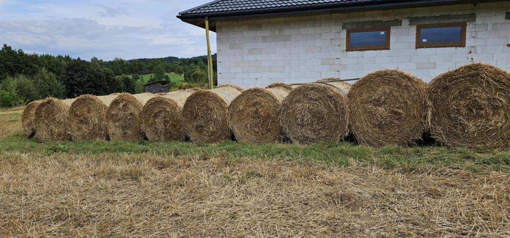 Słoma! Bele słomy! Owsiana i z Pszenżyta