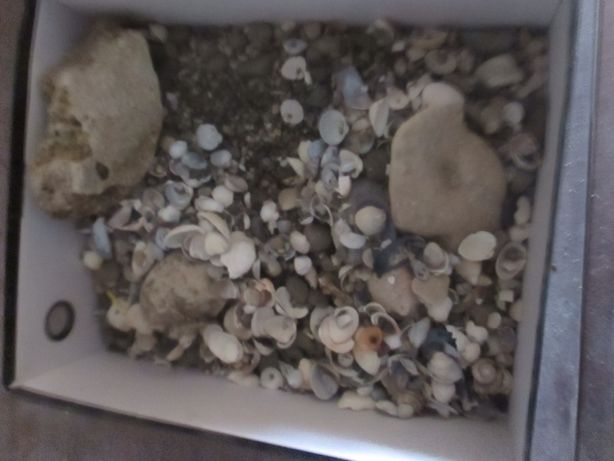 спец песок для аквариума