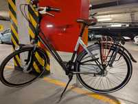 Rower damski Gazelle Eclipse limited edition