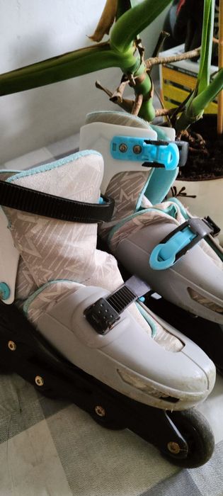 Rolki regulowany rozmiar od 34 do 36