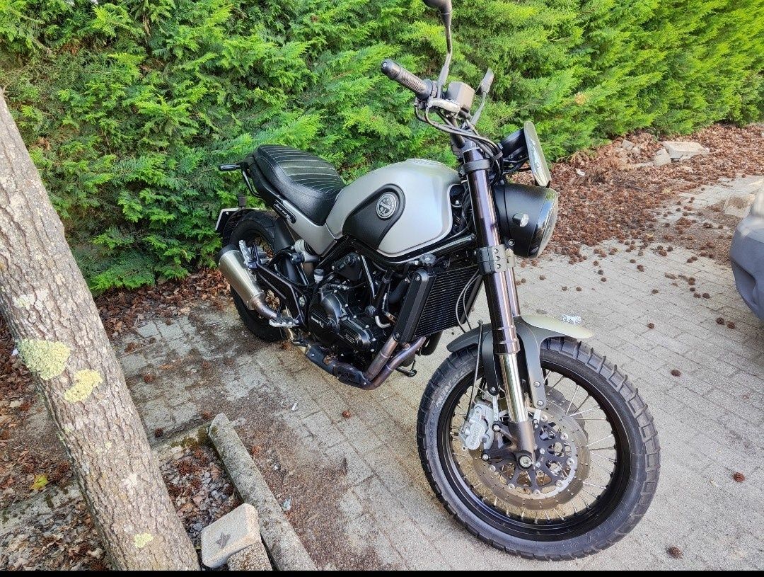 Benelli leoncino 500 trail 2019