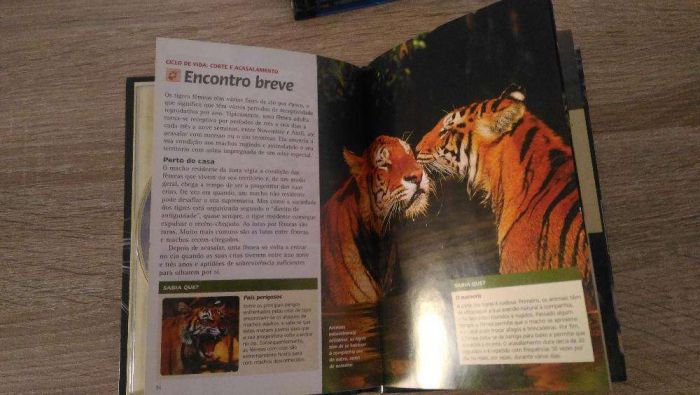 Natural Killers. 2 Dvd's + livrinho