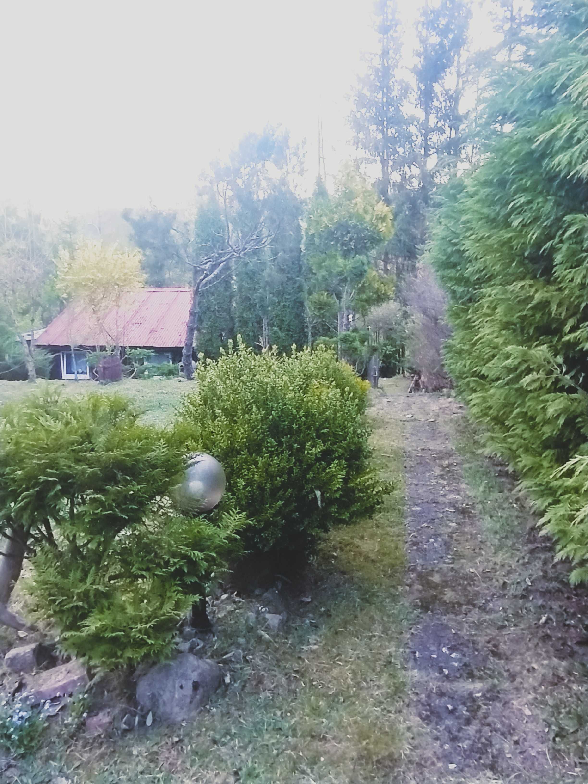 ~Działka ~ Domek ~nad jeziorem Spore ~