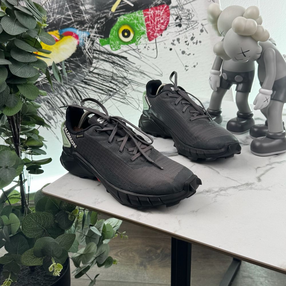 Кросівки Salomon Alphacross Gore Tex 39 розмір 4838