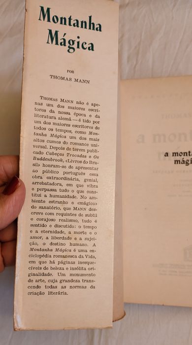 A montanha mágica, Thomas Mann
