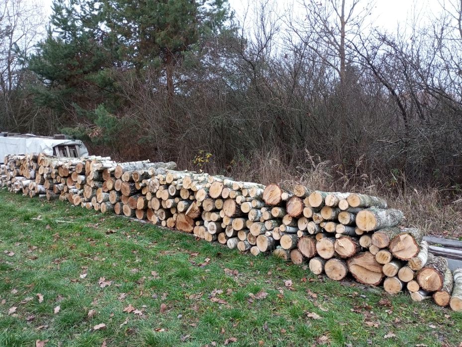 Drewno brzoza, sosna opał