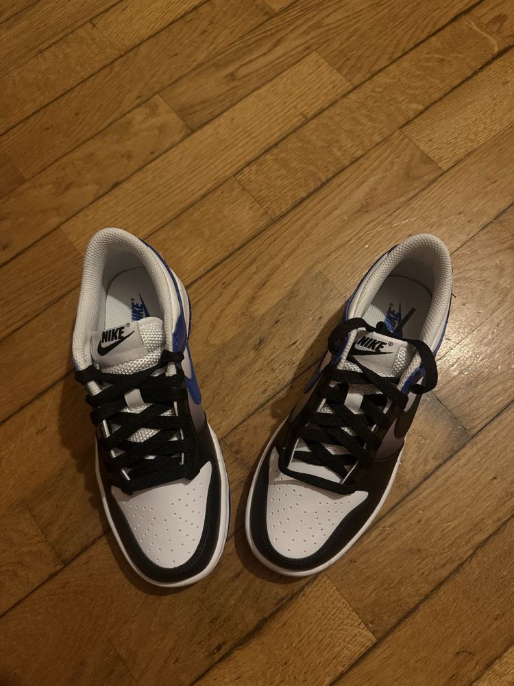Nike dunk novos