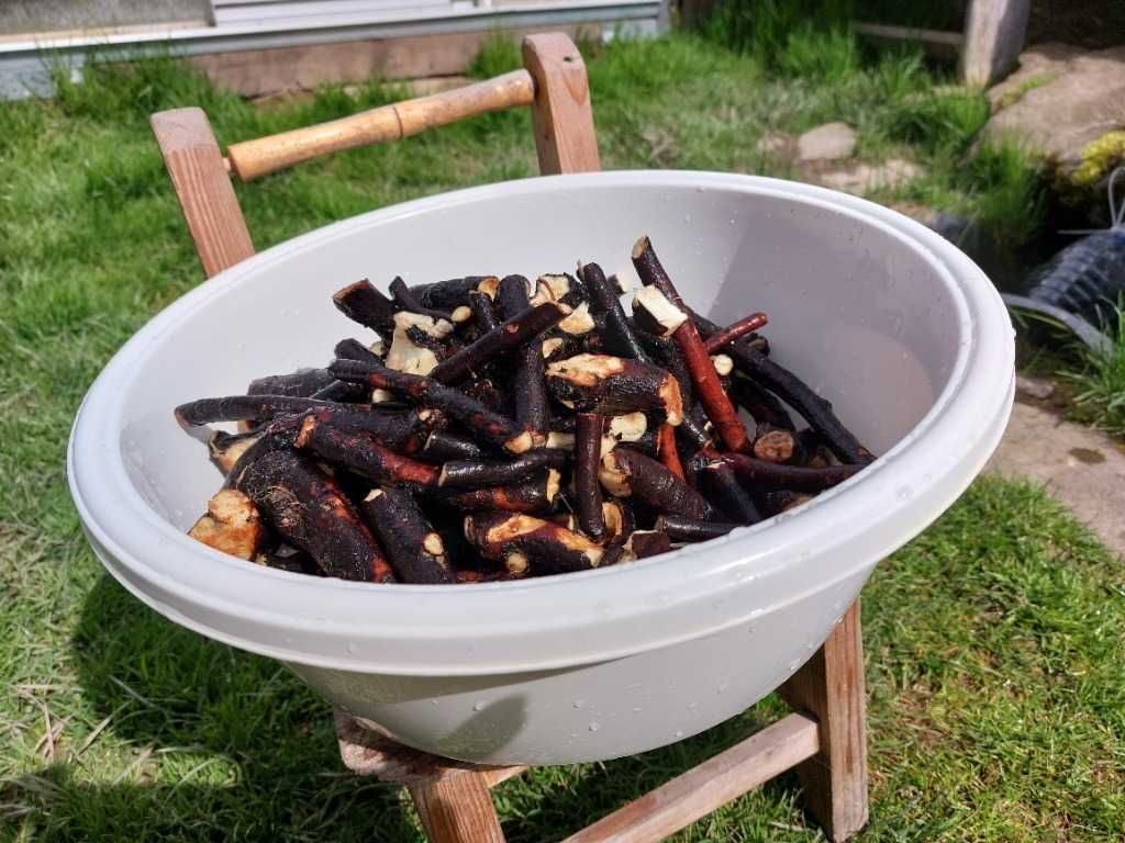 Krem z żywokostu