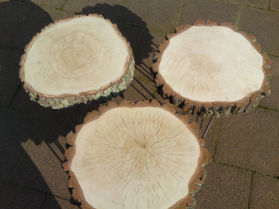 Stolik kawowy z drewna - plaster brzozy