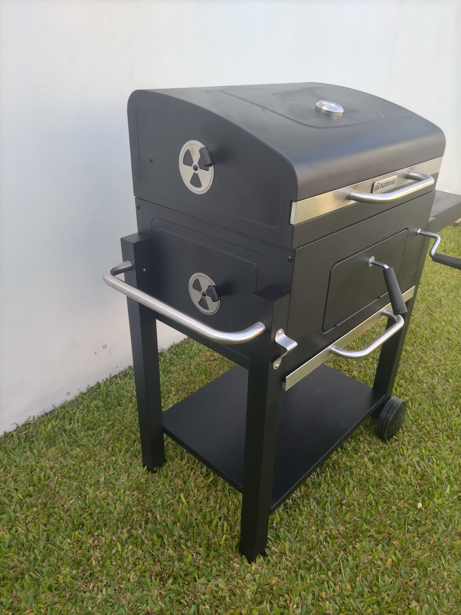Barbecue a carvão