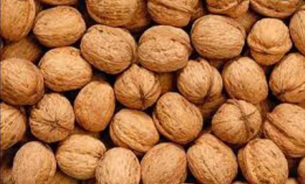 Продам Грецькі Горіхи
