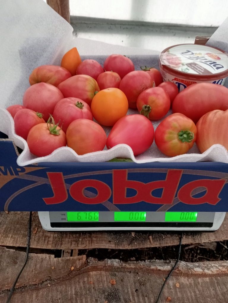 Pomidor ogórek Mix 6 kil