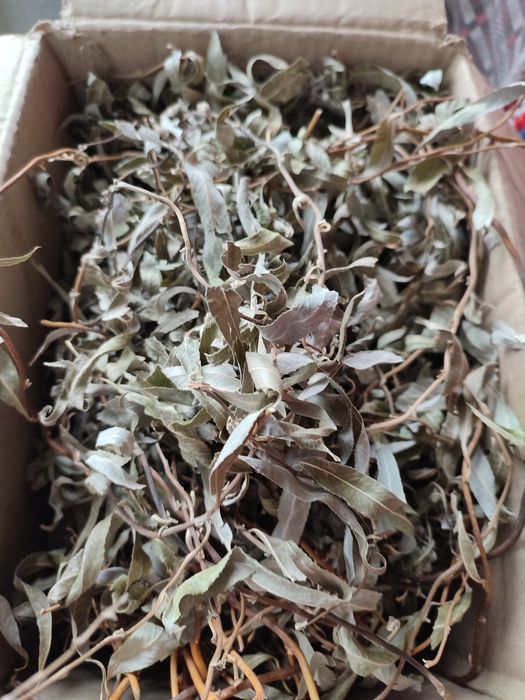 Листя верби сушене з гілочками верба