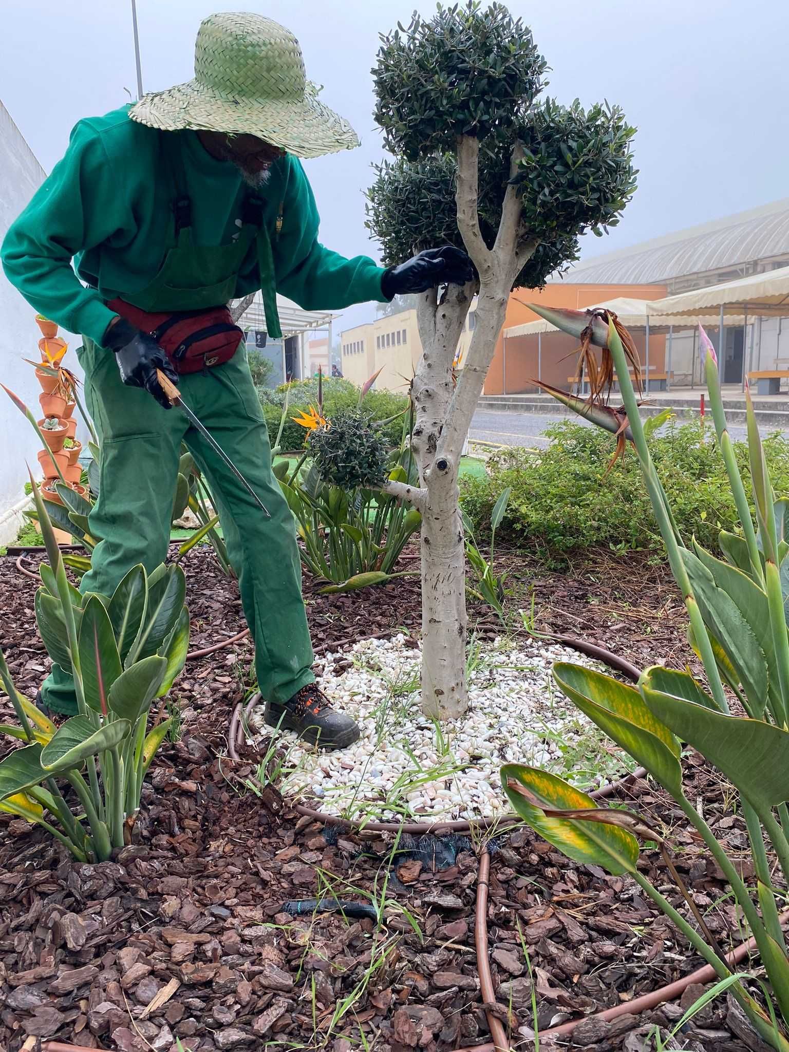 Jardineiro e Limpeza de terrenos.