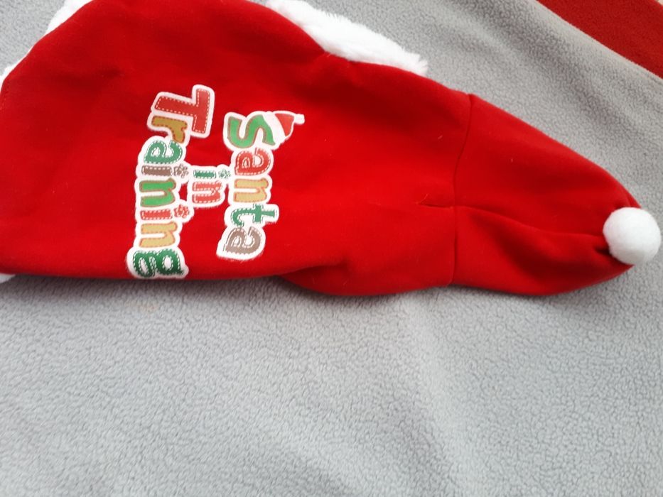 Dla psa ubranko świąteczne.