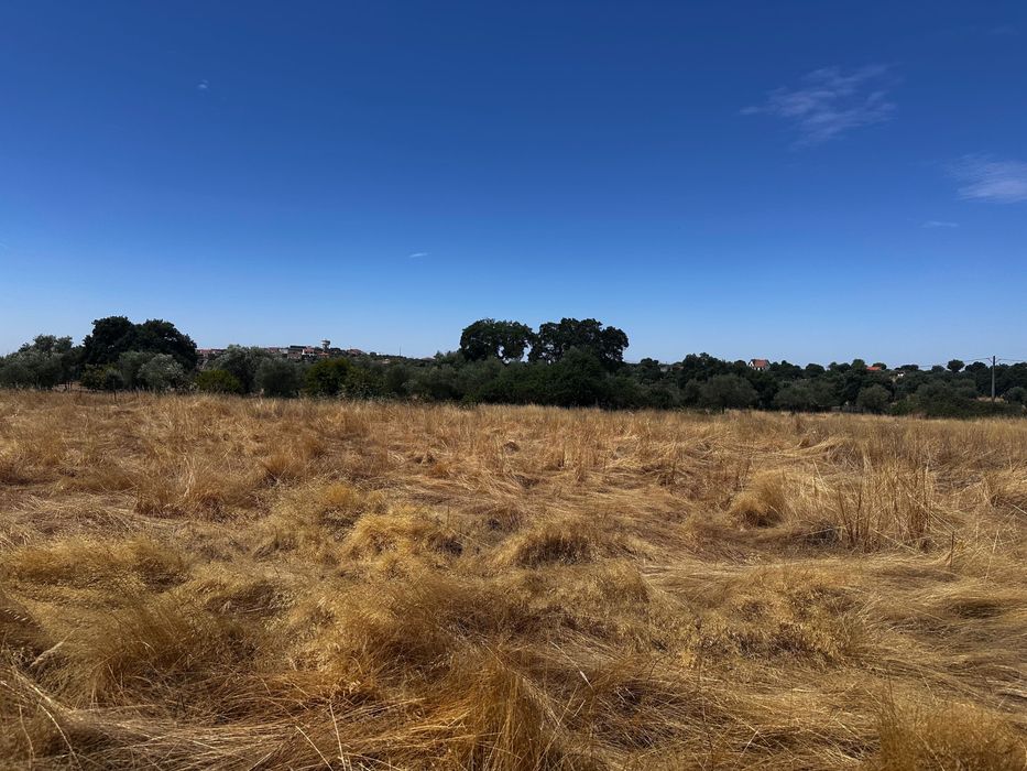 Terreno Rústico 2.132ha Zebreira para Agricultura e Criação de Gado