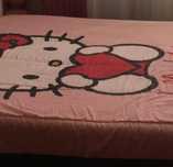 Edredão Cama Casal Inverno Criança Menina Dupla Face