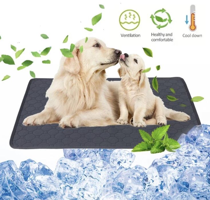 Поглинаючі багаторазові пелюшки для тварин. L 50х69