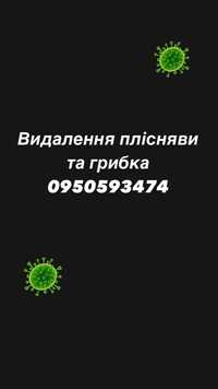 Видалення плісняви та грибка