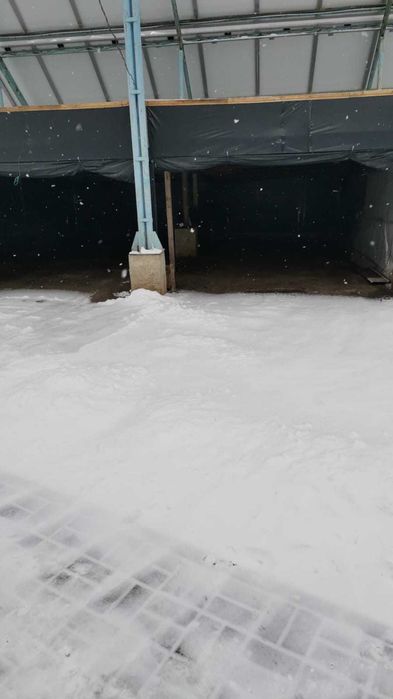 Здам будинок в оренду суми