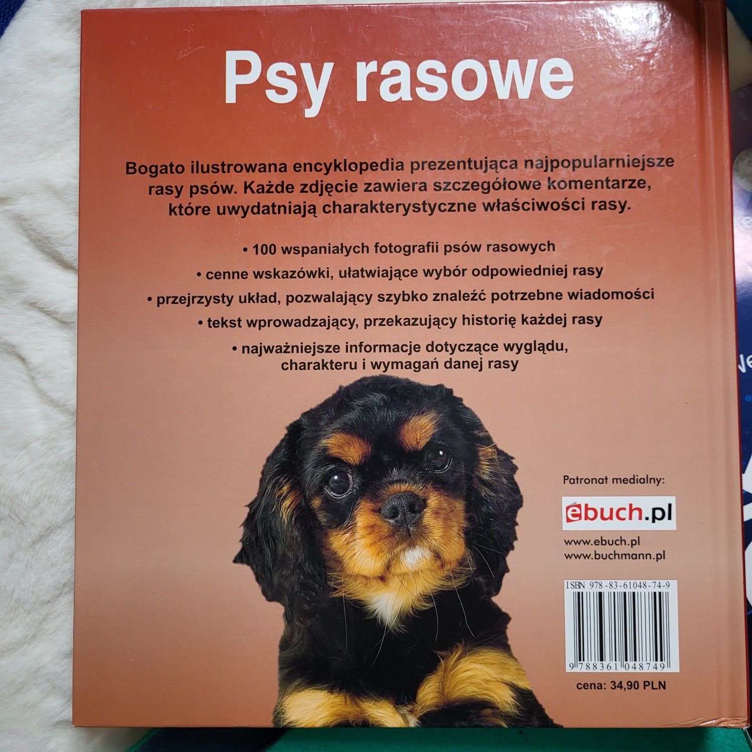 Książka Psy Rasowe ilustrowana encyklopedia