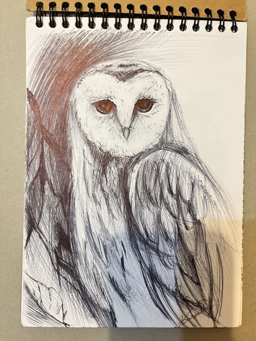 Малюнки начерки картини а5 формату графіка