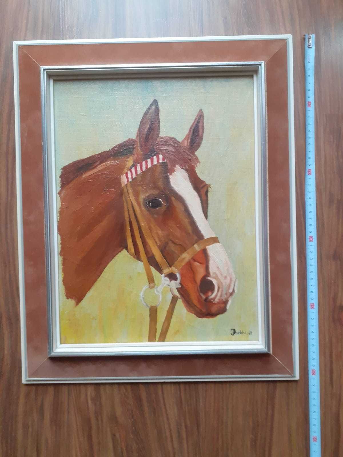 Obraz konia w ramie
