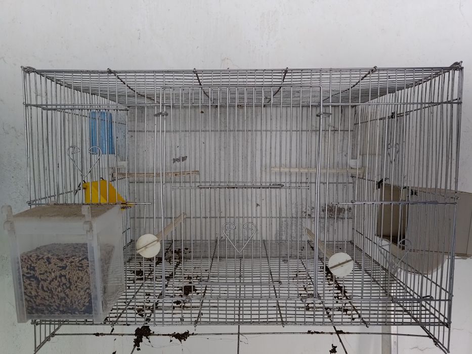 Gaiolas de criação de aves