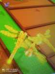 Grow-a-garden tanio pety