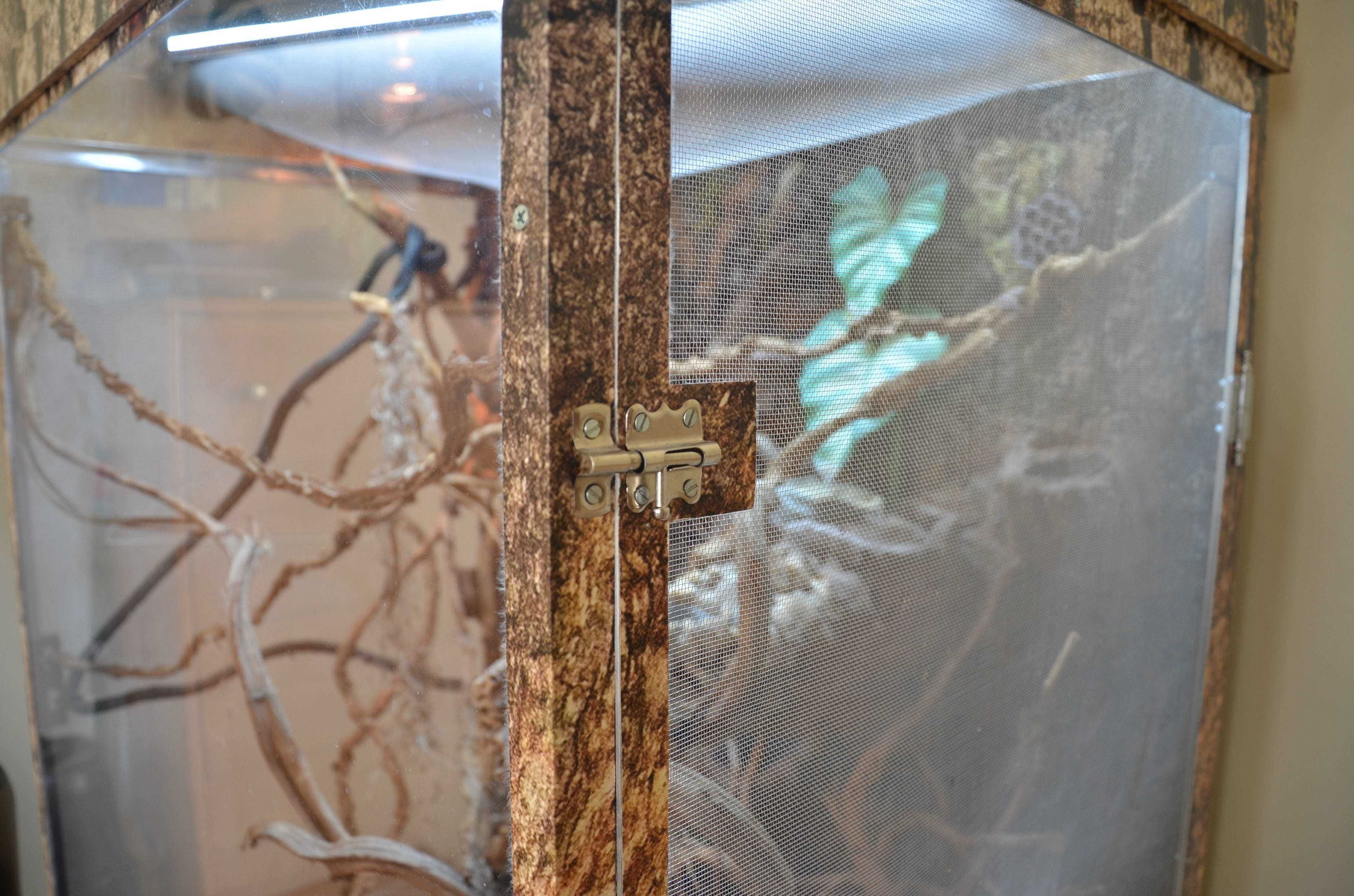 Duże terrarium dla zwierząt egzotycznych
