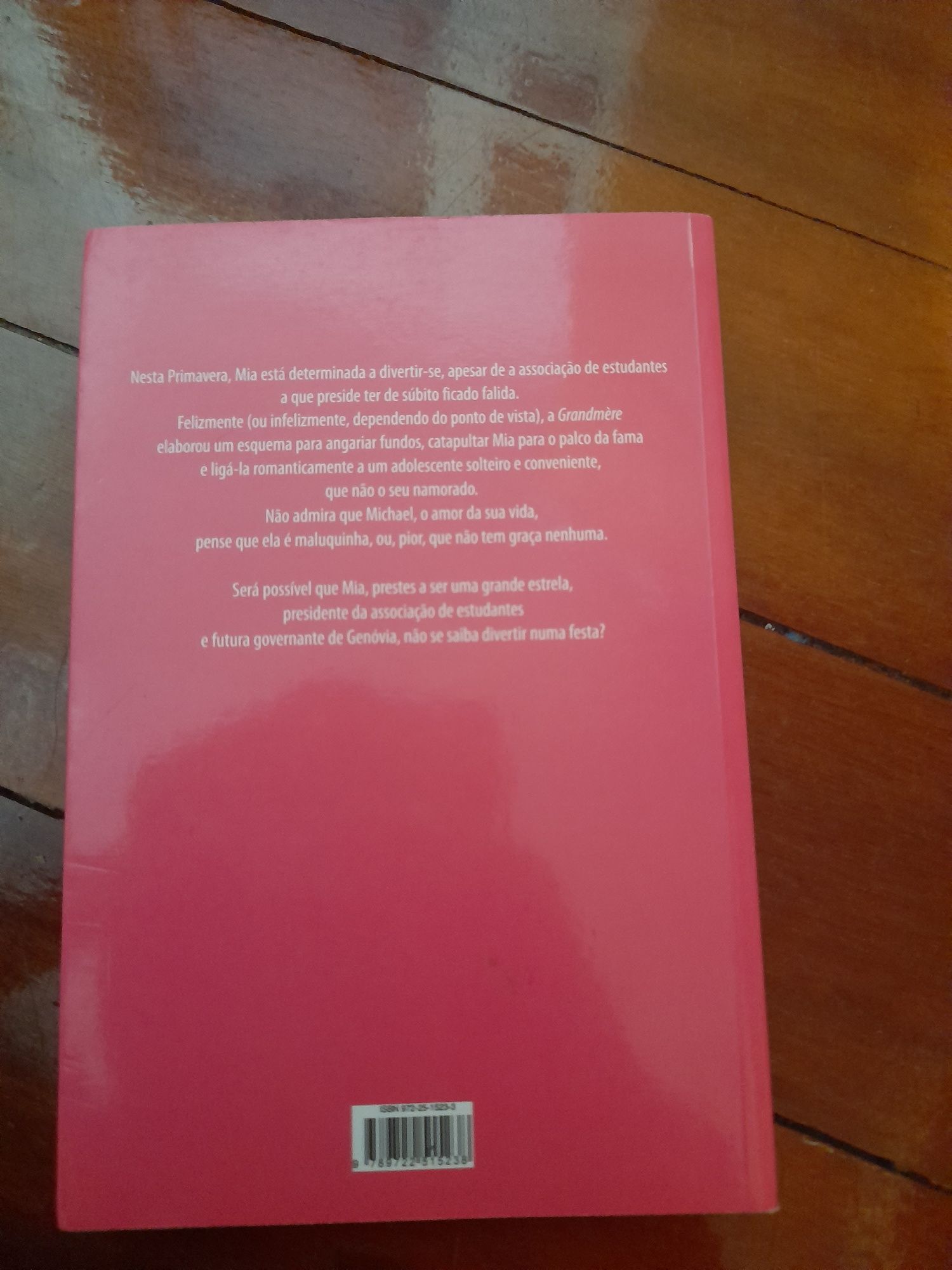 Livro juvenil O diário da princesa VII - A princesa vai à festa (NOVO)