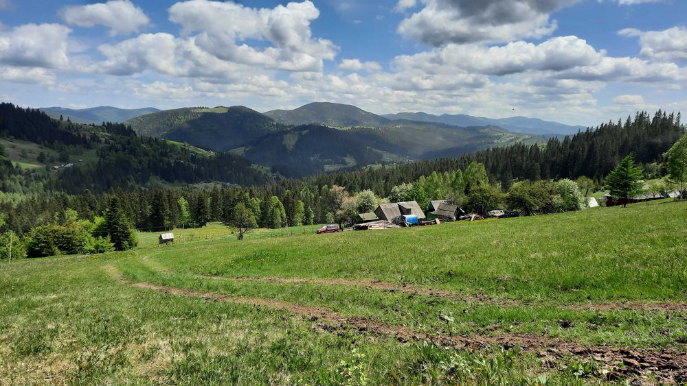 Земля 2 км від Паляниці. 13 соток з видом на Хом'як та Синяк
