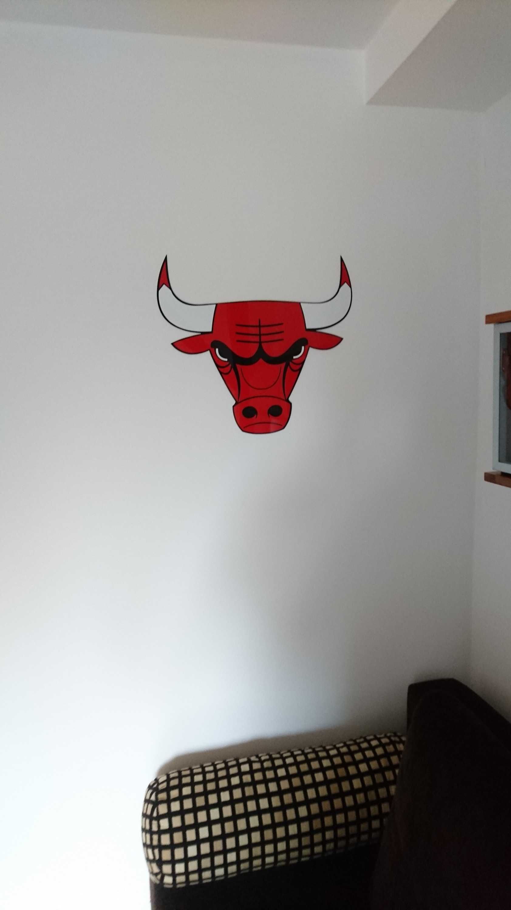 Herb Chicago Bulls dekoracja szyld do pokoju na ścianę gadżet prezent