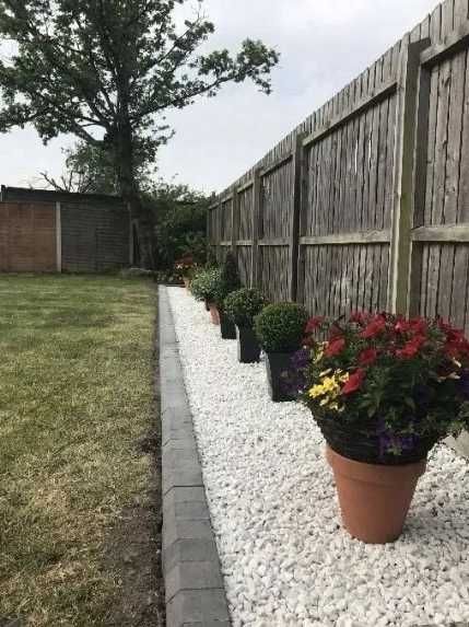 Grys Biała Marianna I Gatunek Akwarium Ogród Opaska Podjazd