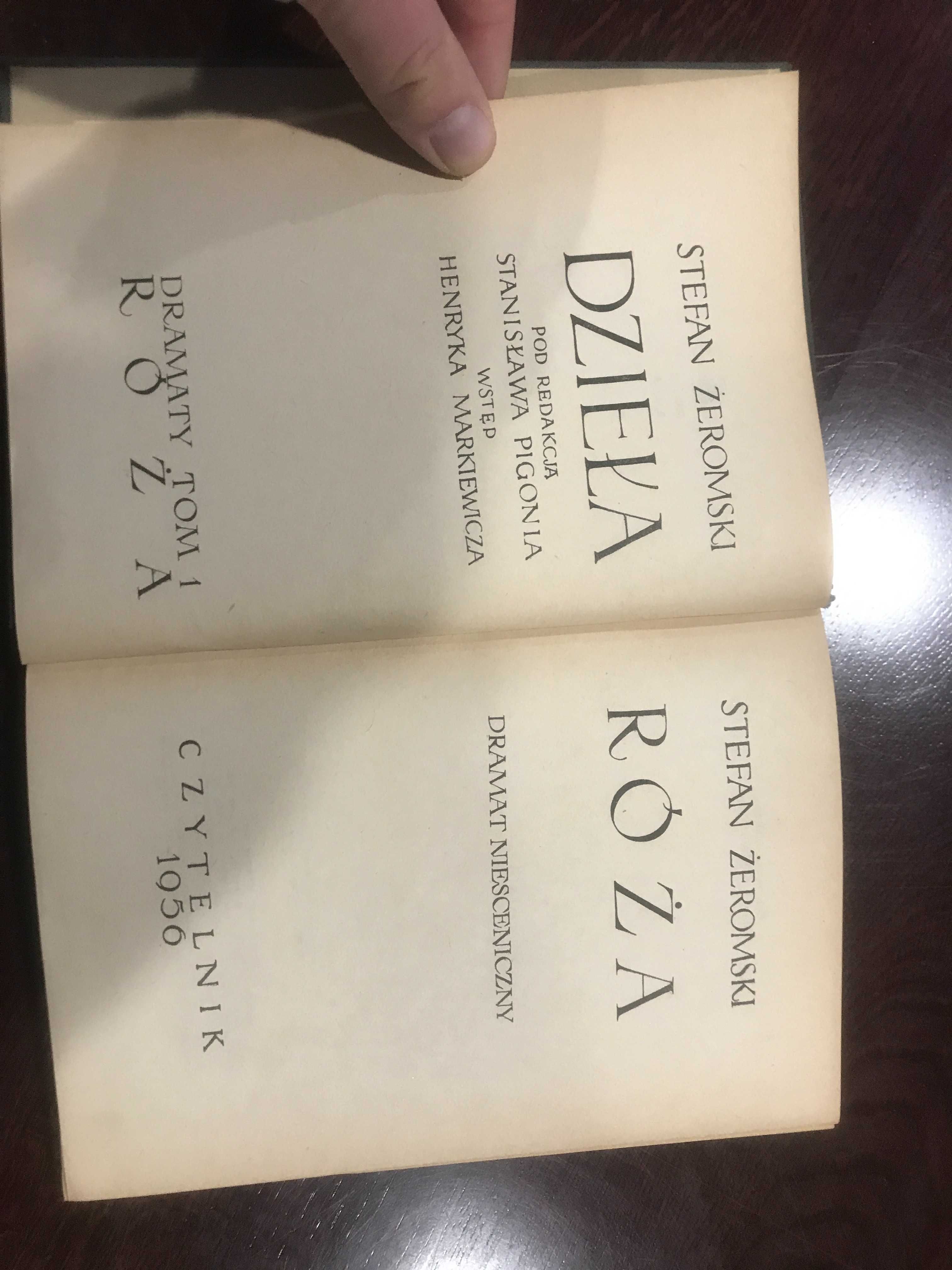 Róża. Dramat niesceniczny Stefan Żeromski