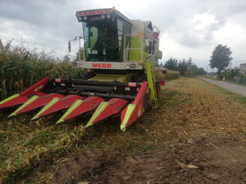 KOSZENIE  ZBÓŻ  KUKURYDZY    i SKUP !! Usługi Rolnicze